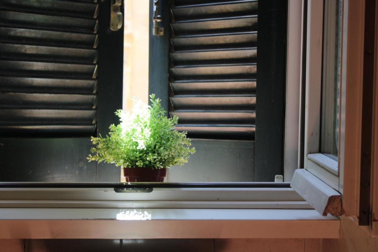 Appartement Colosseum New Charming *