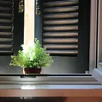 Colosseum New Charming Apartment